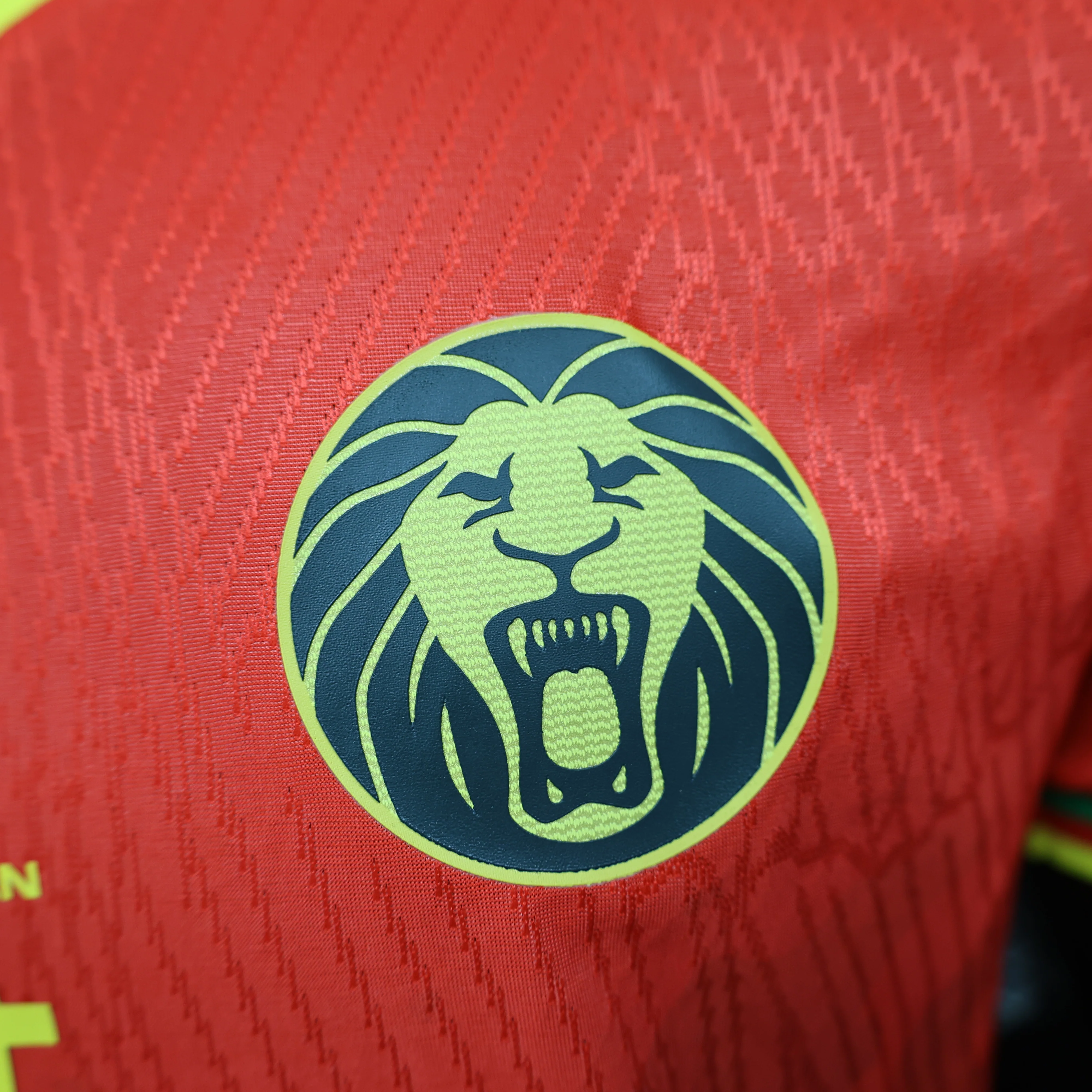 2025-26 Cameroon Red Player S-2XL - Image 9