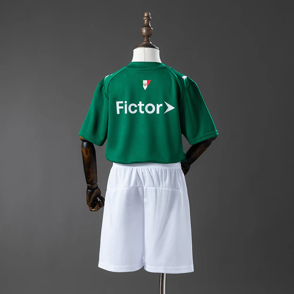 2026-27 Palmeiras  Home Kids Size 16-28 - Image 5